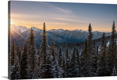 Hurricane Ridge At Sunset