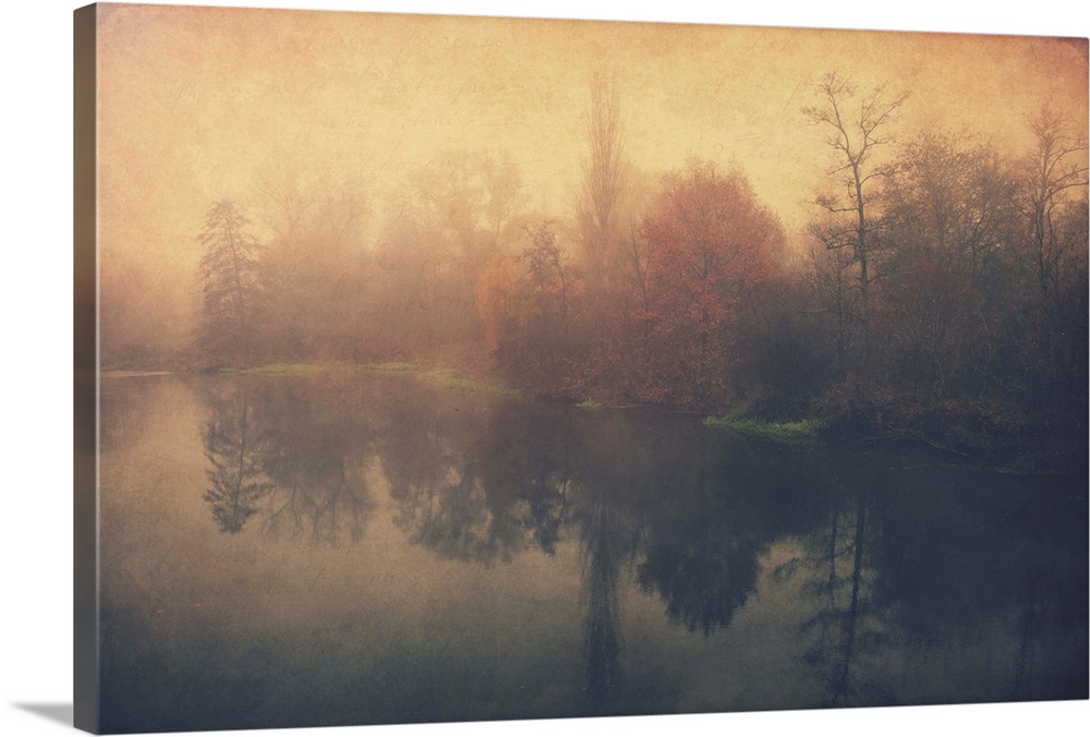 Forest by a river with added photo texture