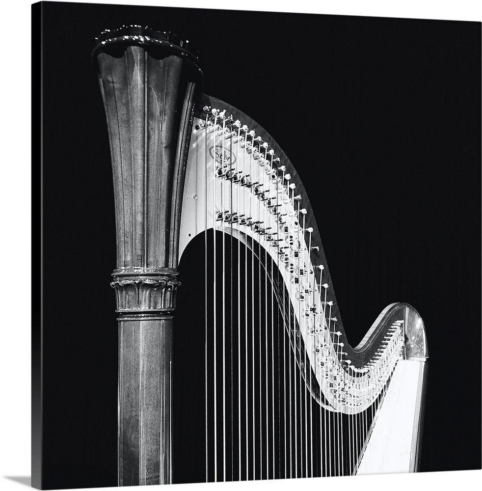 A play of light and dark on this beautiful harp, music in the spotlight.