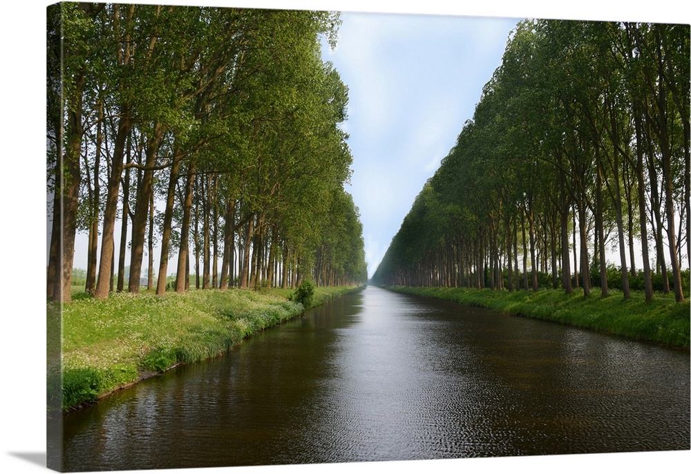 Tree lined canals near Damme in Belgium.