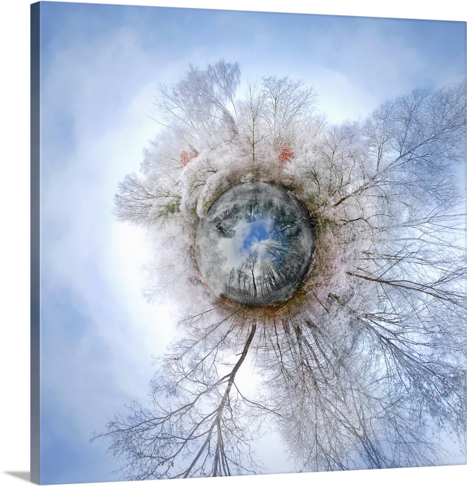 A forest covered in snow in the winter under a cloudy sky, with a stereographic projection effect on the image, resembling...