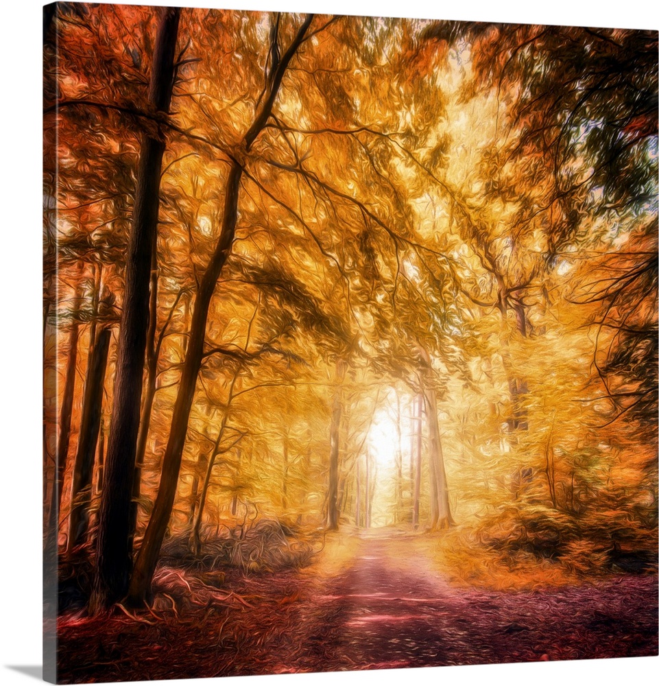 Photo Expressionism - Bright path in an autumn forest.