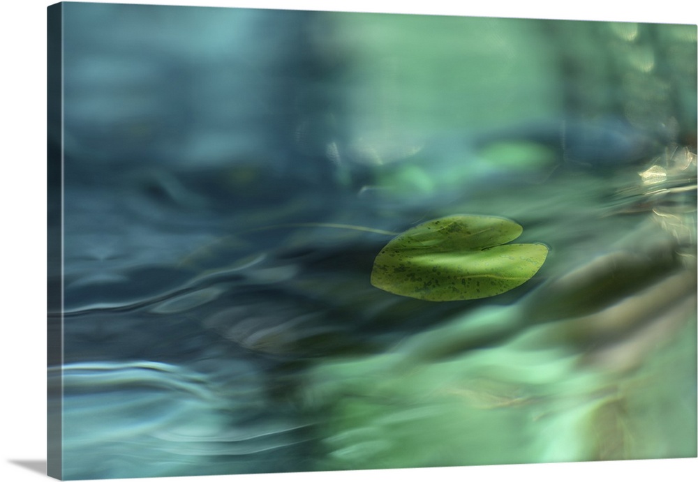 A water lily leaf with several layers of abstract water motif.