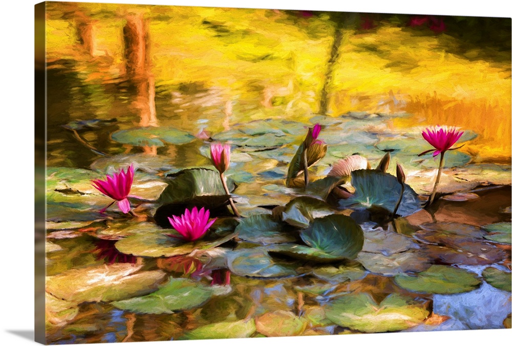 Water lily flowers in expressionist photo