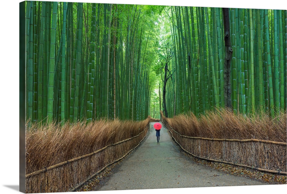 Fine art photograph of a person walking on a path in a tall bamboo forest.