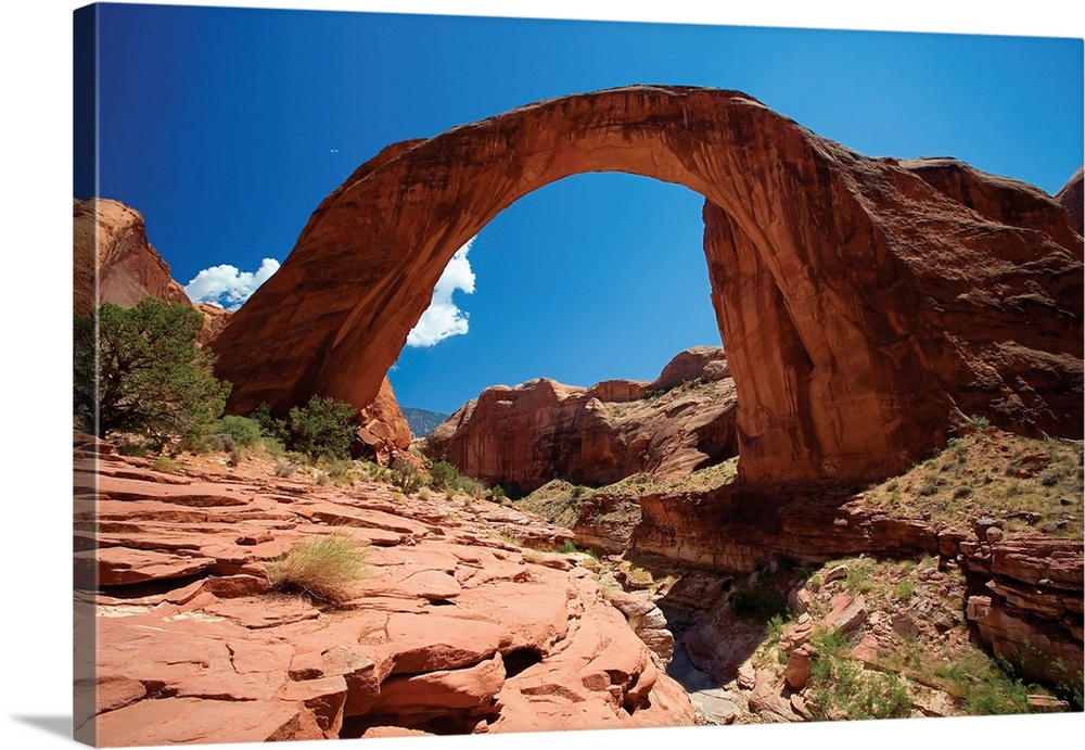 Low angle view of a Natural Arch, Rainbow Bridge, Utah.