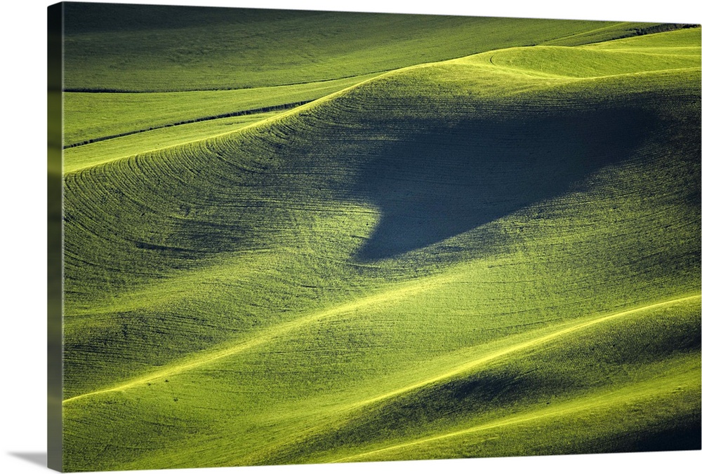 Almost abstract view of the verdant hills of Palouse, Washington.