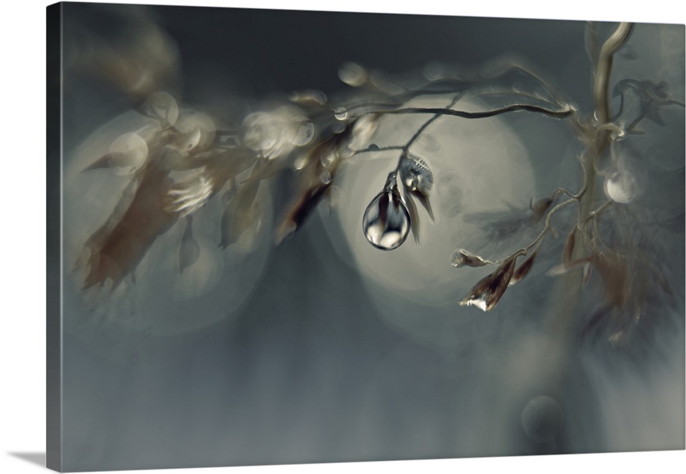 water drops on a straw. Photographed with a large aperture that gives a shallow depth of field.