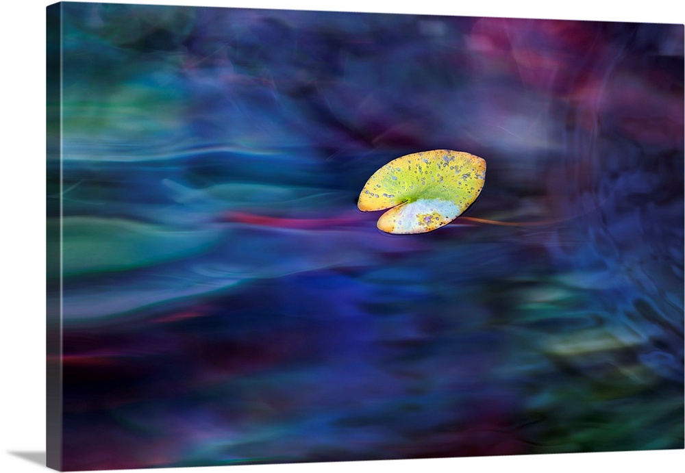 A leaf on water, added several layers of abstract macro images.