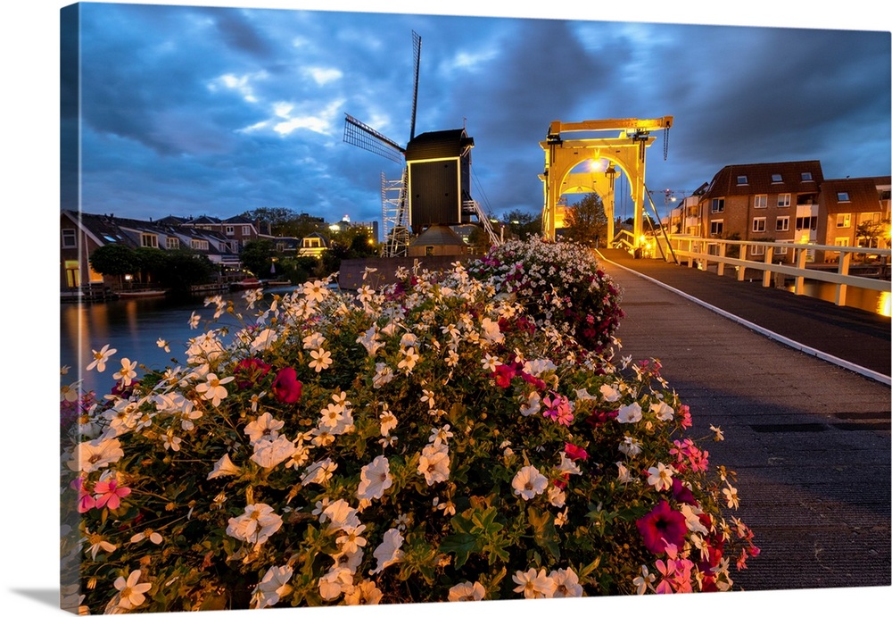 Drawbridge and windmill at night with blooming flowers, Leiden, South Holland, Netherlands.