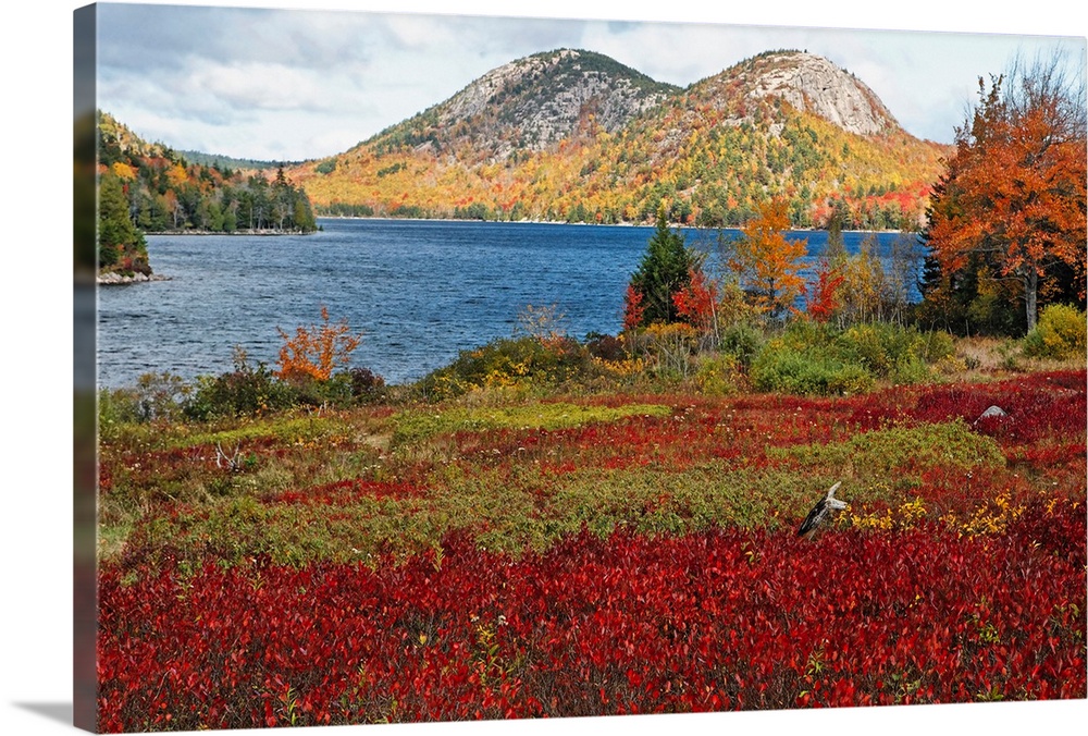 Large, landscape photograph of Jordan Pond and the Bubble Mountains, surrounded by autumn color, in Acadia National Park, ...