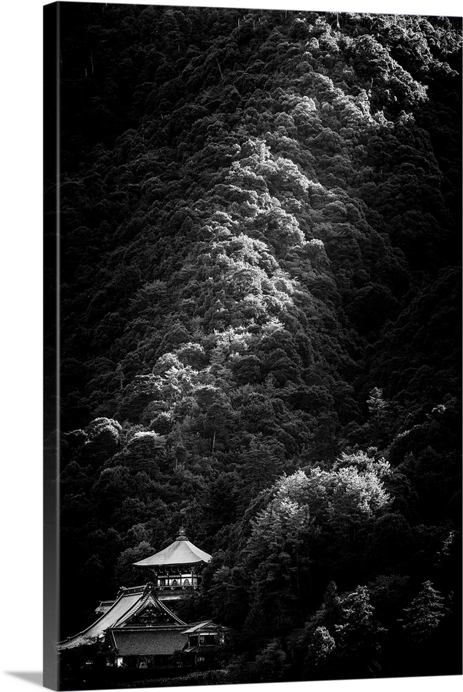 Evening light wraps around a hillside and falls on top of a quaint Japanese home.