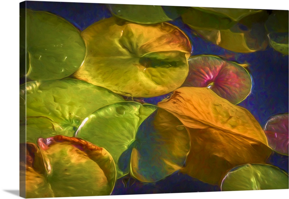 A colorful painterly scene of lily pads.