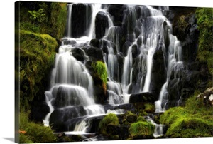 Liquid Symphony image thumbnail