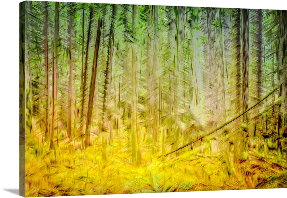 Sunlight forest scene captured with In-Camera-Movement and multiple exposure.