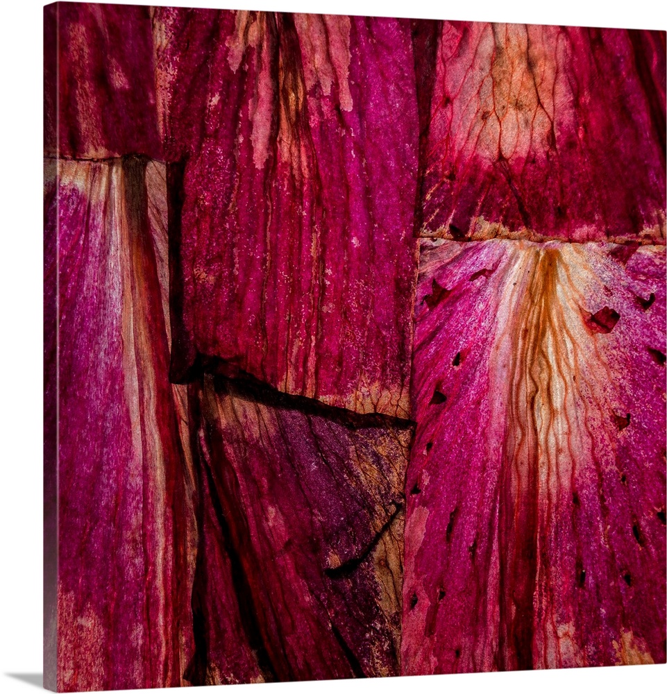 Square abstract art with sections of wood placed together in bright shades of pink and purple.