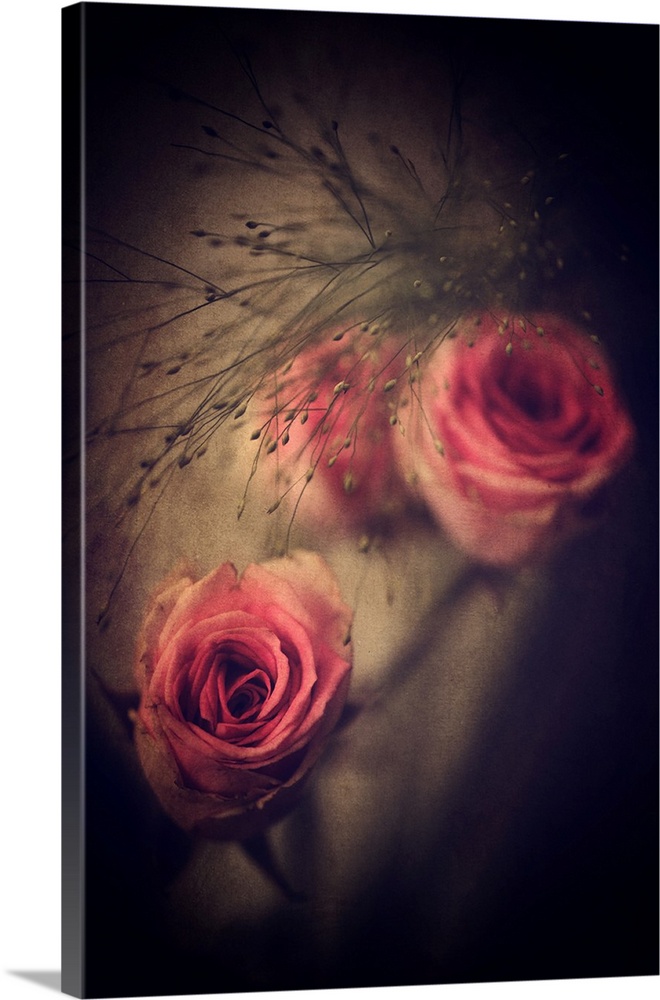 Image of three pink roses with a dark vignette and an antique overlay.