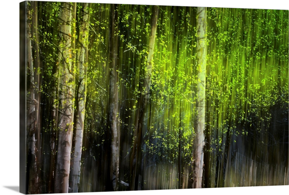 This piece is perfect for the home or office of a forest that has vertical streaks throughout the print with touches of gr...