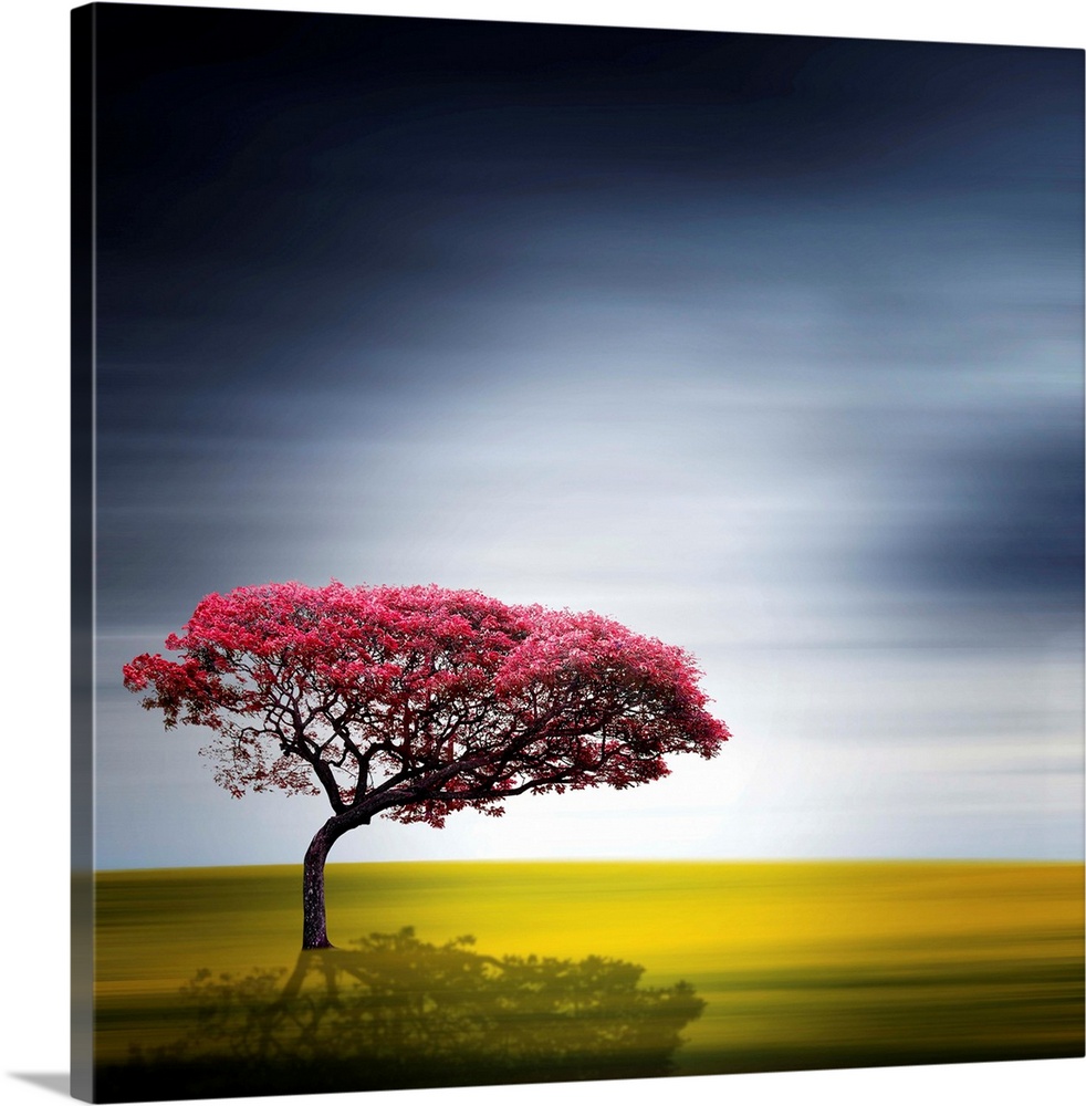 A red tree in front of a blurred landscape