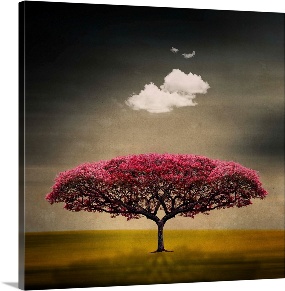 This art work is a digital composite of a symmetrical flowering tree with a fluffy cloud floating above.