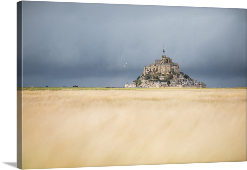 Mont Saint Michel in front of grey clouds before the rain! Yellow lighting field on first plan, France, Normandy.