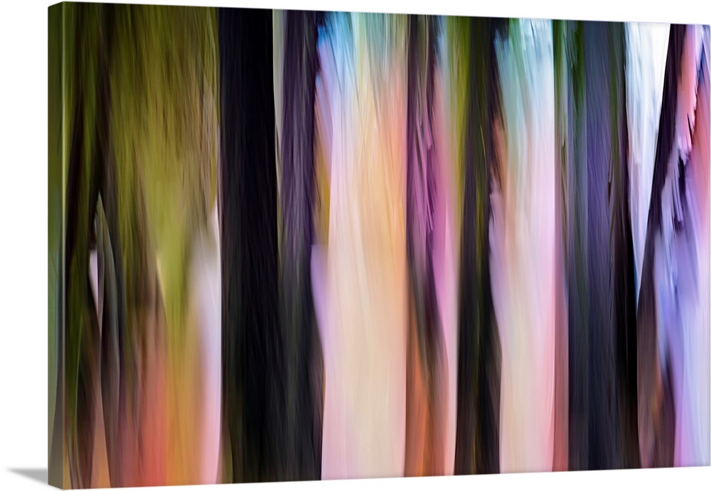 Abstract image of a group of cedars in a small town in British Columbia, Canada. The image was made using the vertical ICM...
