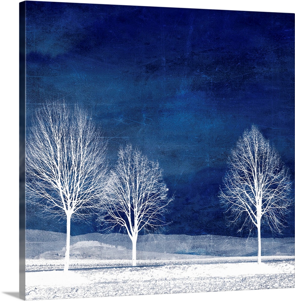 Trees on blue background with photo texture