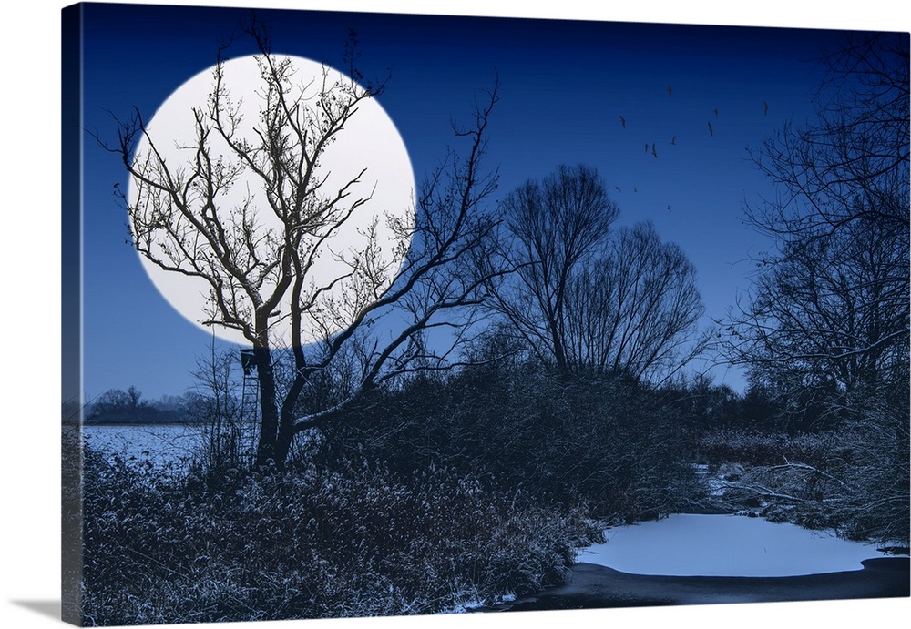 Night landscape with a big white moon