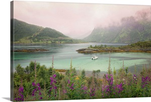 Norway of life image thumbnail
