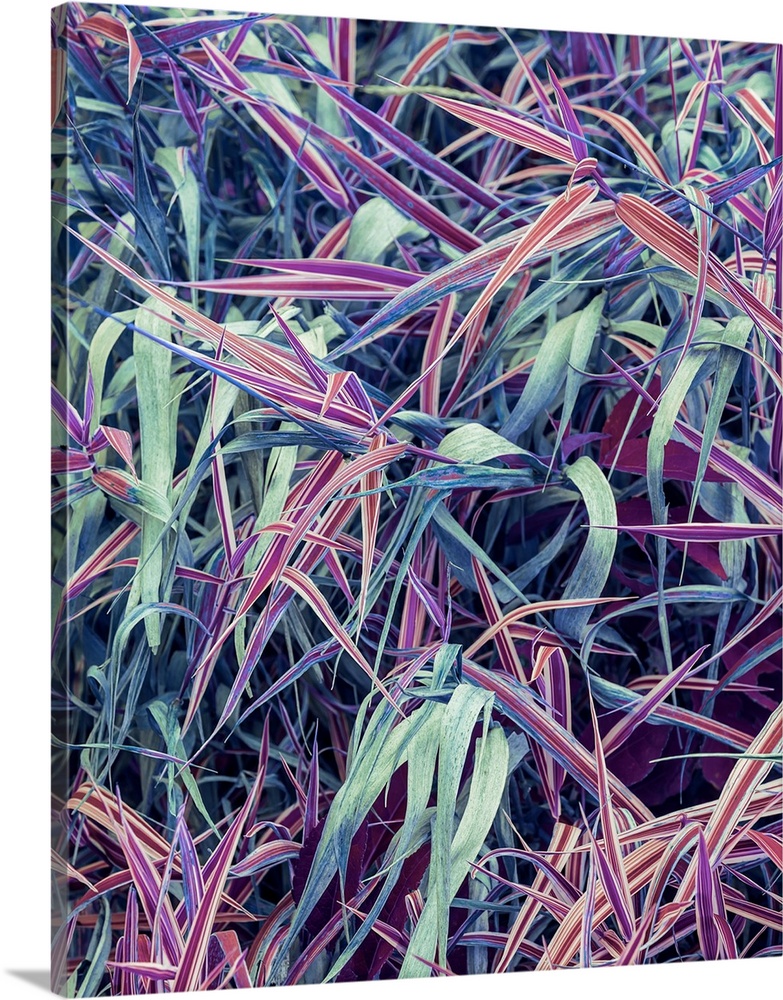 A closeup of grass in vivid purple and blue hues.