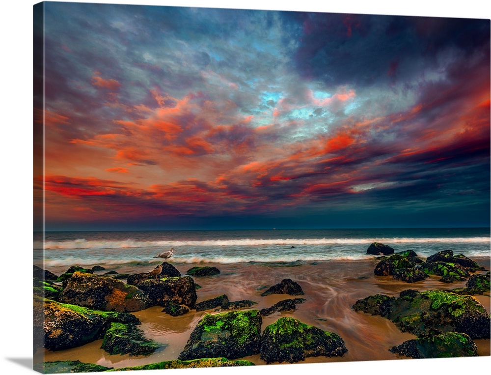 Rocks covered in algae on the beach under a stunning display of sunset colored clouds.