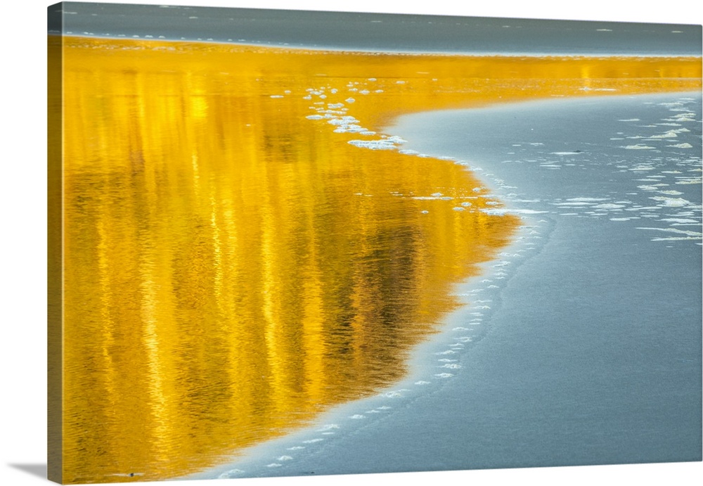 USA, Washington, Olympic National Park, reflection on beach.