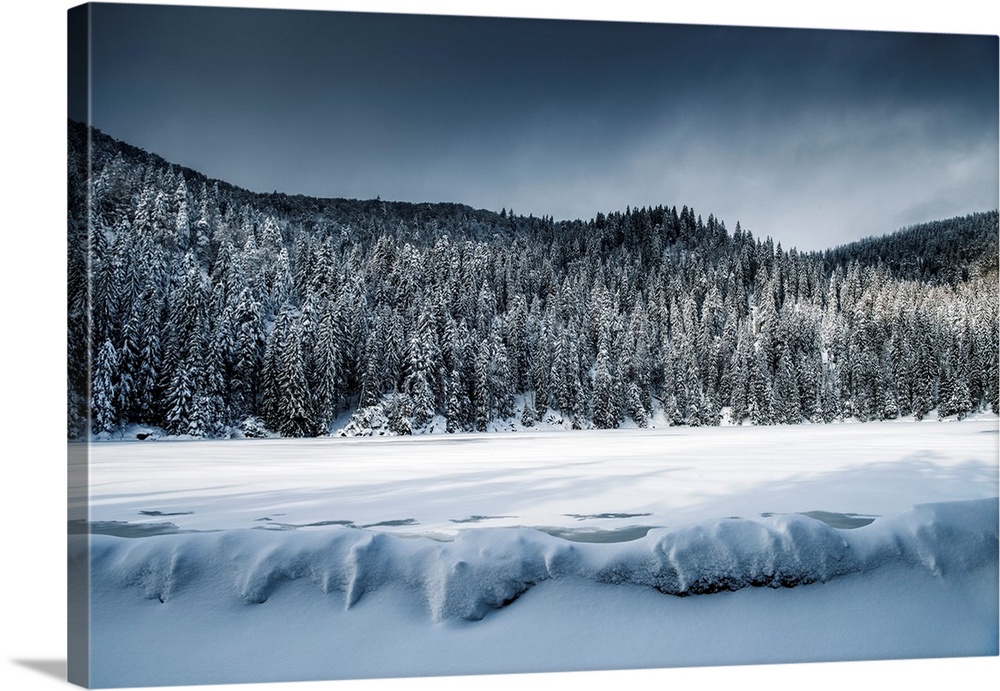 Winter landscape around a frozen lake and snow-covered fir trees