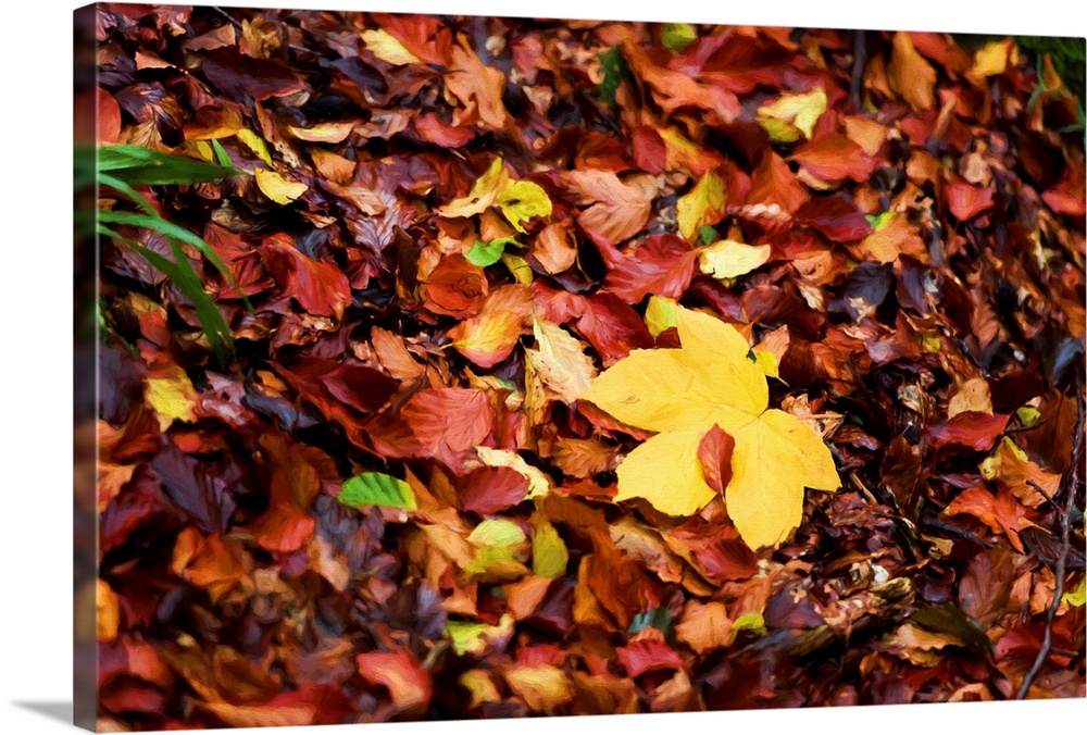 Photograph of a pile of Autumn leaves with a painted look finish.