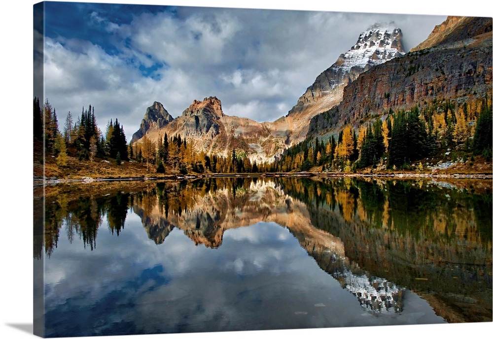 An image made in late September in the Lake O'Hara area in British Columbia, Canada. This is in the Opabin Basin. Larches ...