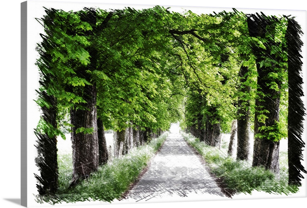 Path lined with green trees with a drawing finish