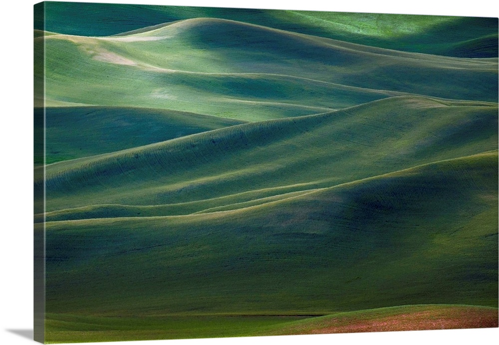 Almost abstract view of the verdant hills of Palouse, Washington.