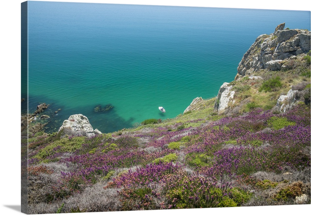 Wildflowers on a cliff overlooking a turquoise sea.