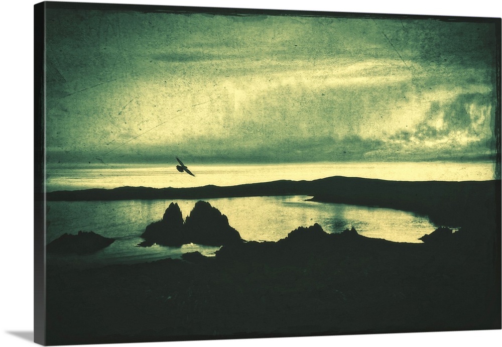Sea shore at night with rocks and a flying bird. Photo texture.