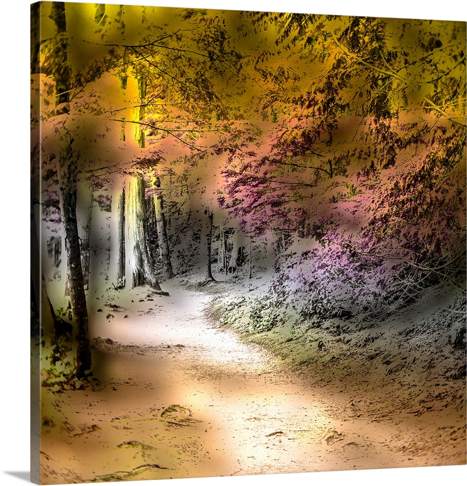 A path leading into a magical forest with a colorful painterly feel.
