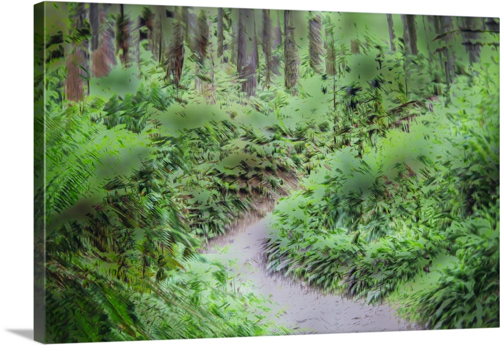 Painterly forest scene lush with ferns, shrubs and trees.