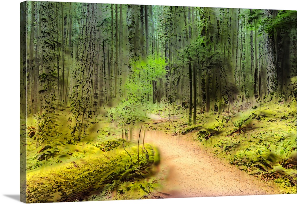 A painterly scene of a path leading into a lush forest, captured with in-camera-movement and multiple exposures.