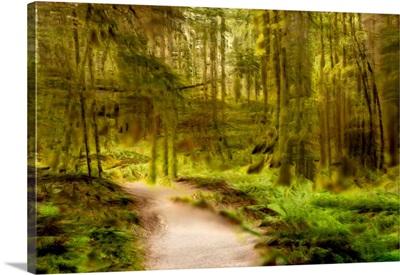Path Through Forest V