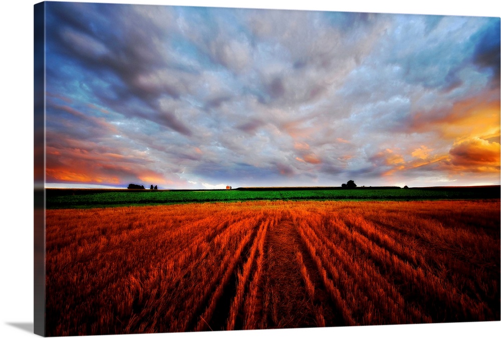 In this expansive photograph a farmer's field is shown stretching into the skyline under a cloudy and colorful sunset.