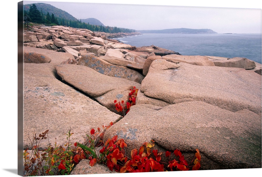 Coastline with Granite Rocks,  Acadia Nat'l Park, Maine