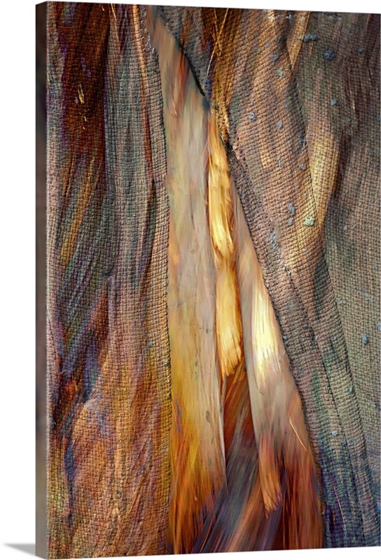 peek a boo canvas sneakers