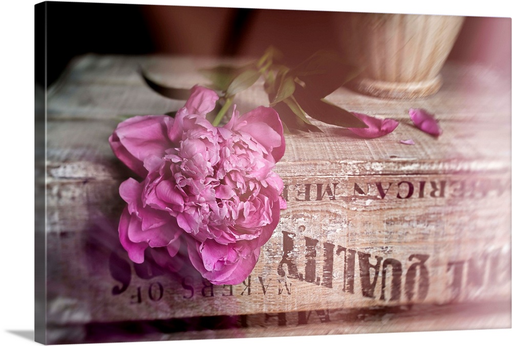 Soft photograph of a pink peony resting on a weathered book.