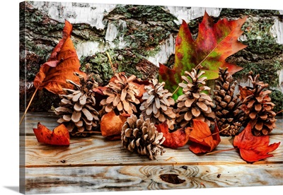 Pine Cones for Fall
