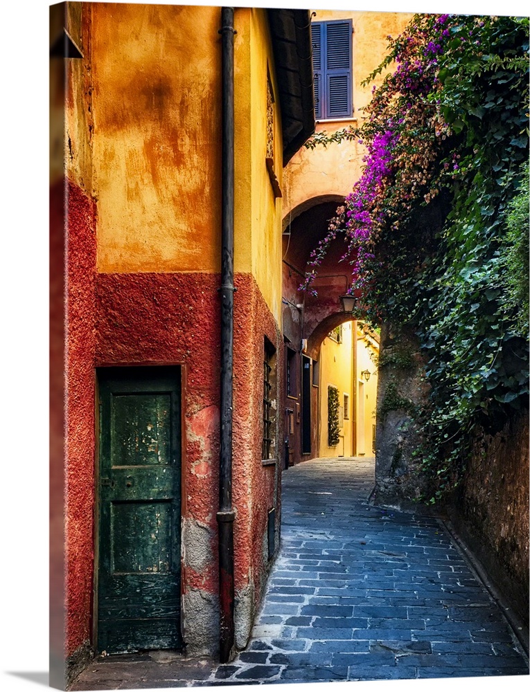 Narrow Street with Bougainvillea Flowers, Portofino, Liguria, Italy