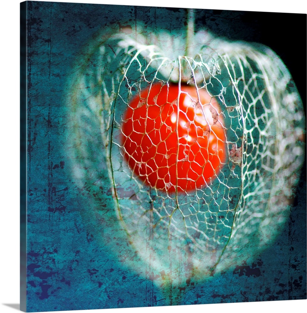 Photograph of caged red ball with abstract background.